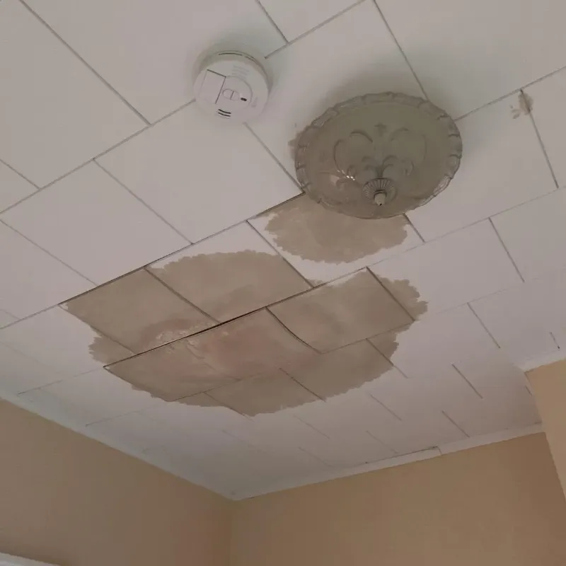 Ceiling Water Damage Repair in Beach City, TX