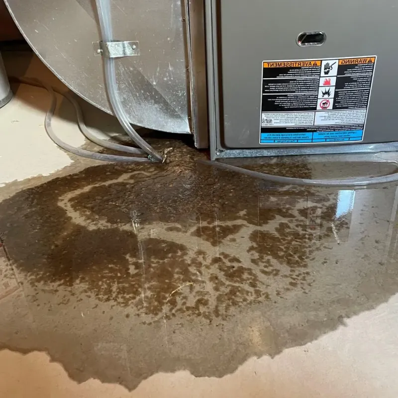 Pipe Burst and Leak Restoration in Beach City, TX