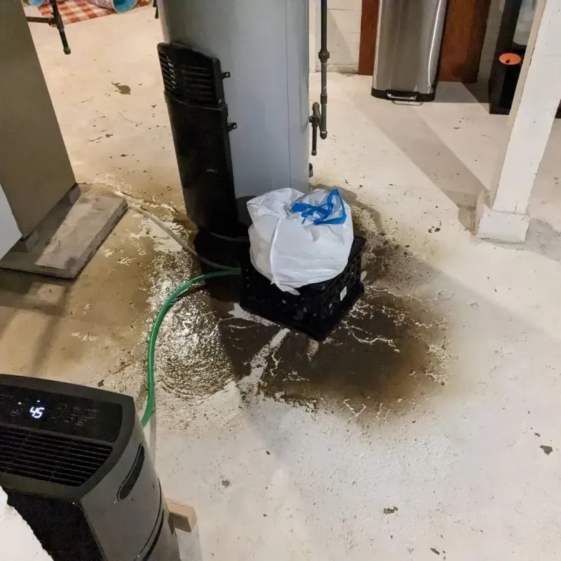 Sewage Backup Cleanup Service in Beach City, TX
